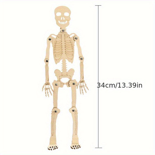 DIY Human Skeleton Assembly Puzzle Kit for Small Production