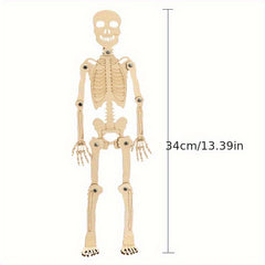 DIY Human Skeleton Assembly Puzzle Kit for Small Production