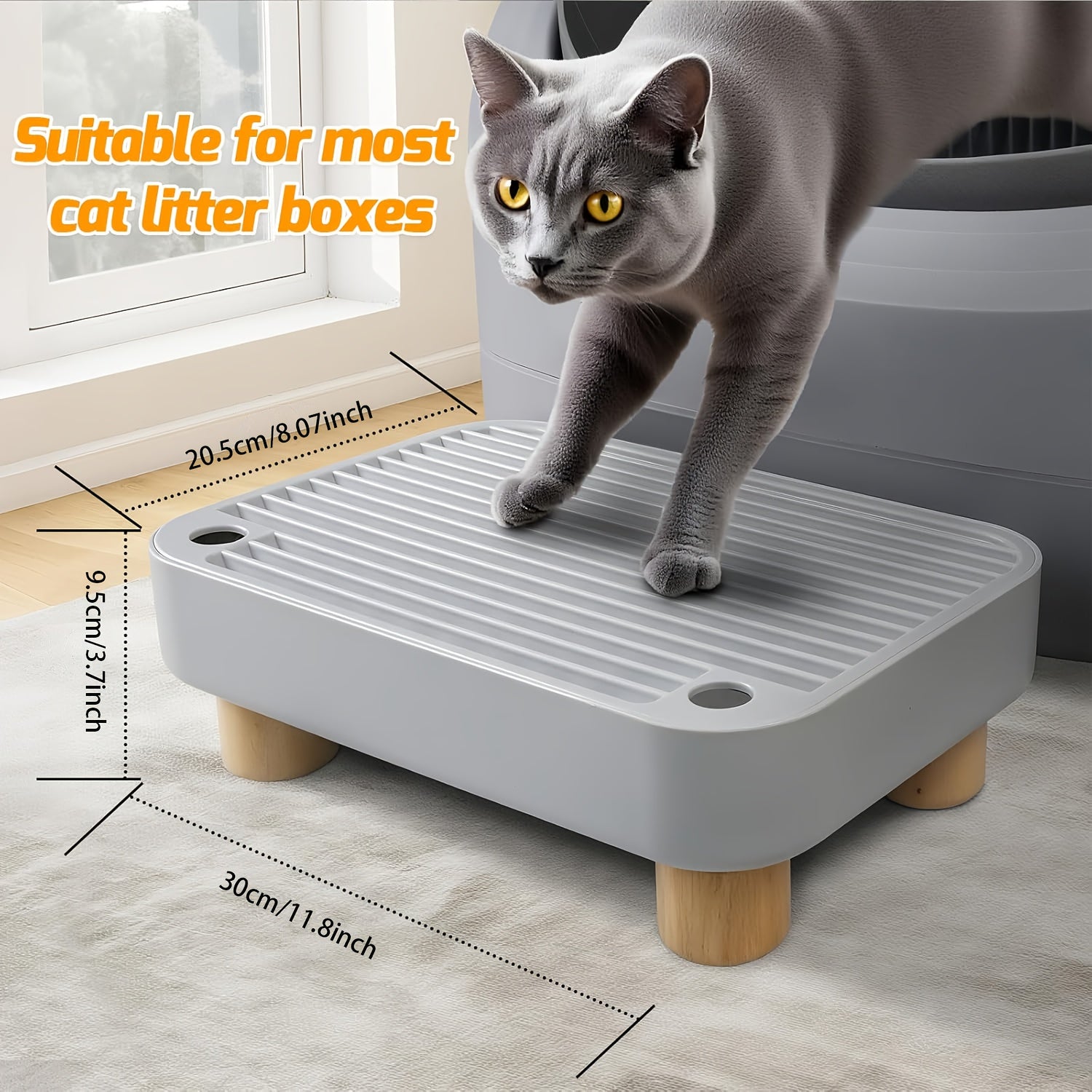 img_11119067