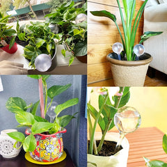 Clear Plant Watering Bulbs Automatic Self Watering Globes 6/10/14pcs