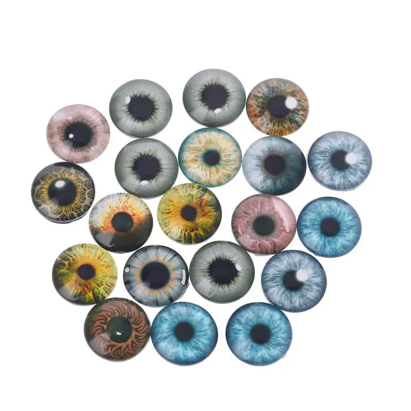 img_2750050
