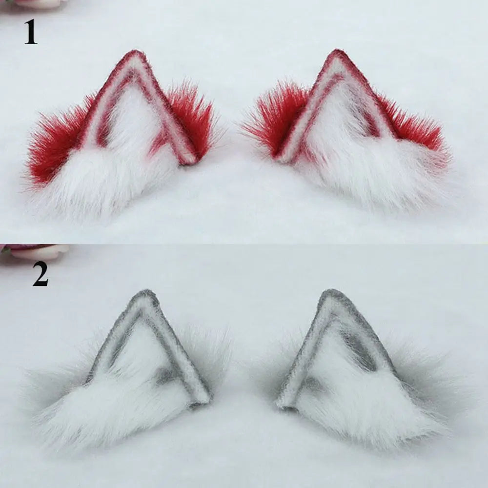 img_2344964