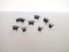 img_2753406