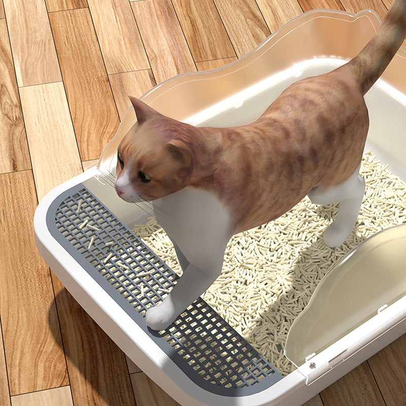 img_6354034