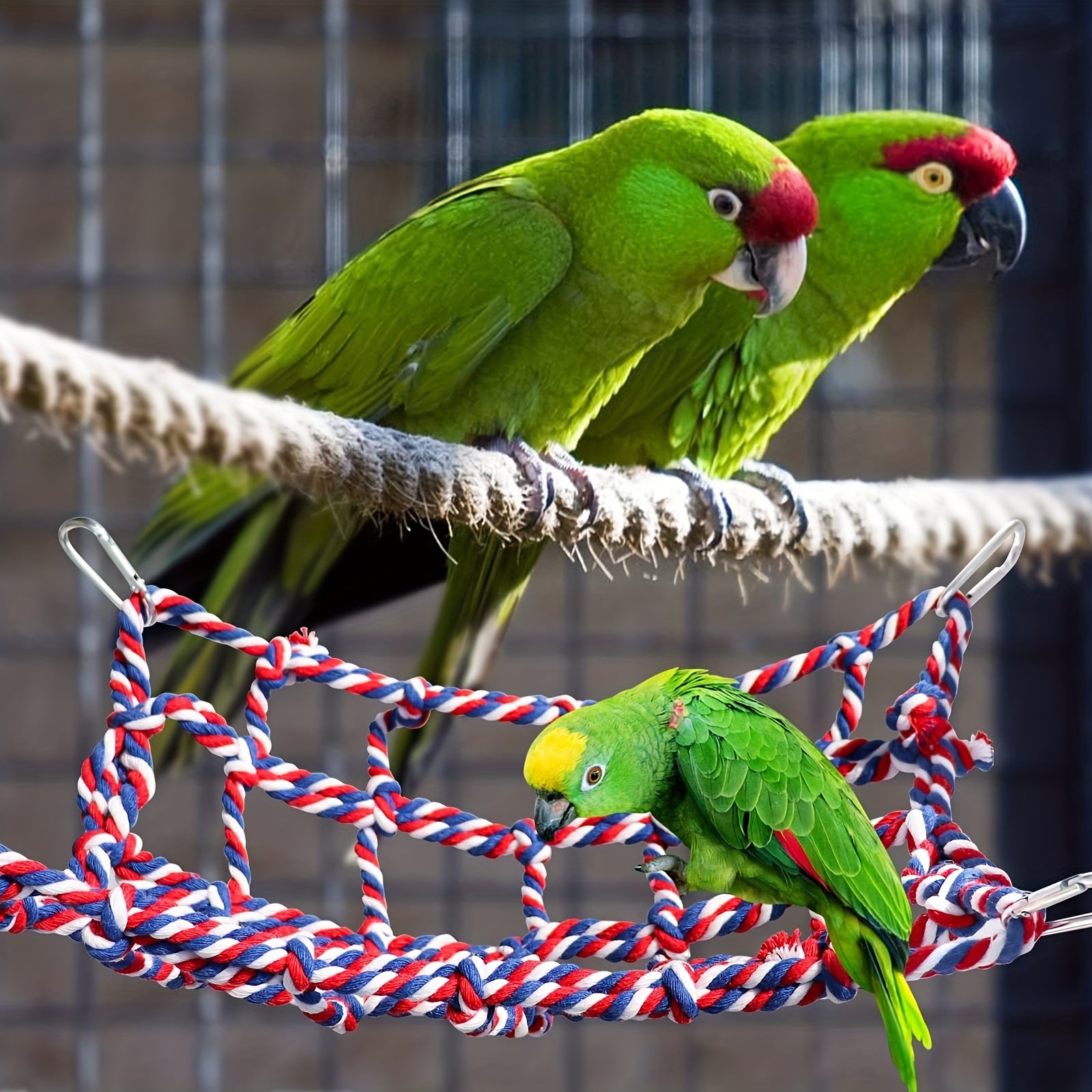 Interactive Rope Net Toy for Small Animals - Birds, Hamsters, Rats