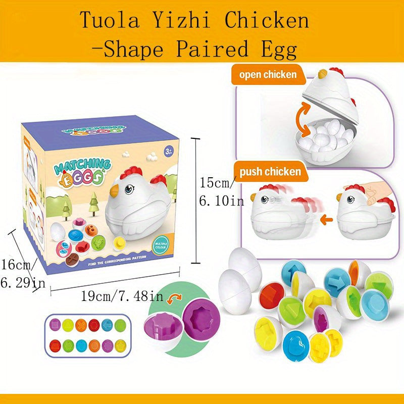 Smart Eggs Early Education Shape Cognition Twisted Eggs