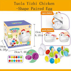Smart Eggs Early Education Shape Cognition Twisted Eggs