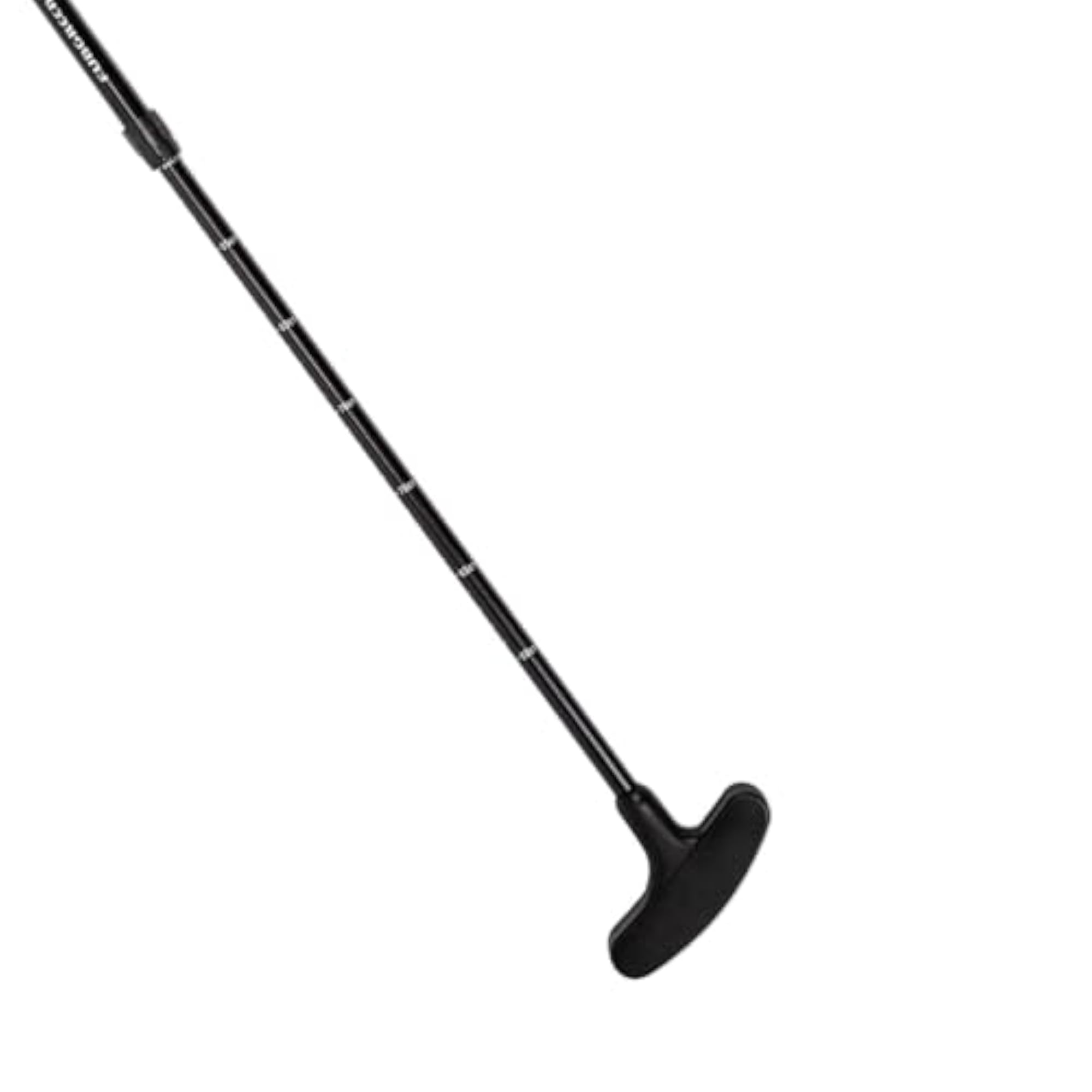 img_10020309