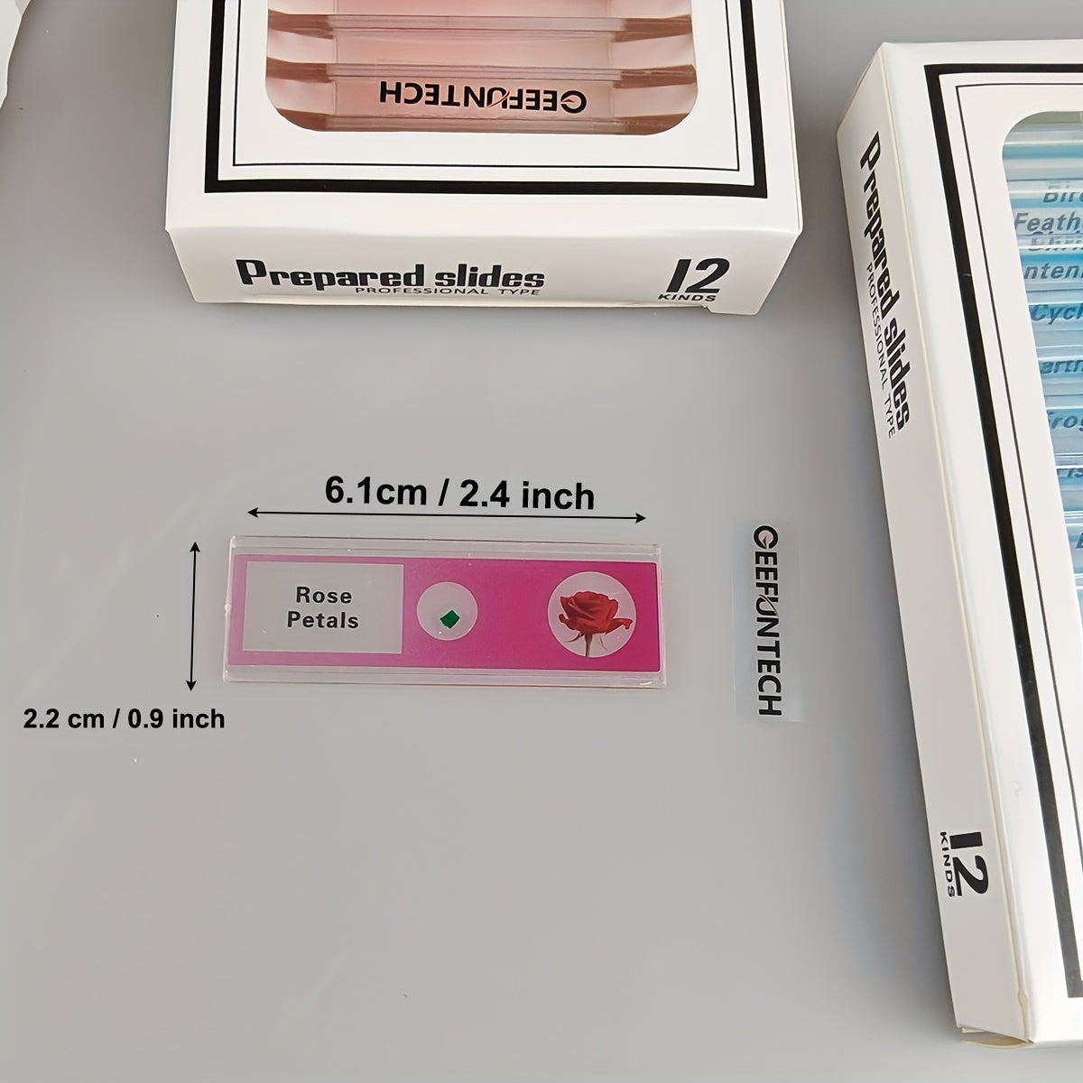Microscope Slides 48pcs 4 Colors Sample Microbiological Biology Microscope Slice