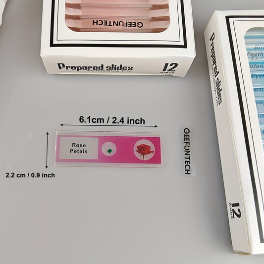 Microscope Slides 48pcs 4 Colors Sample Microbiological Biology Microscope Slice