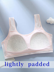 3pcs Mesh Wireless Soft Bras Women's Lingerie