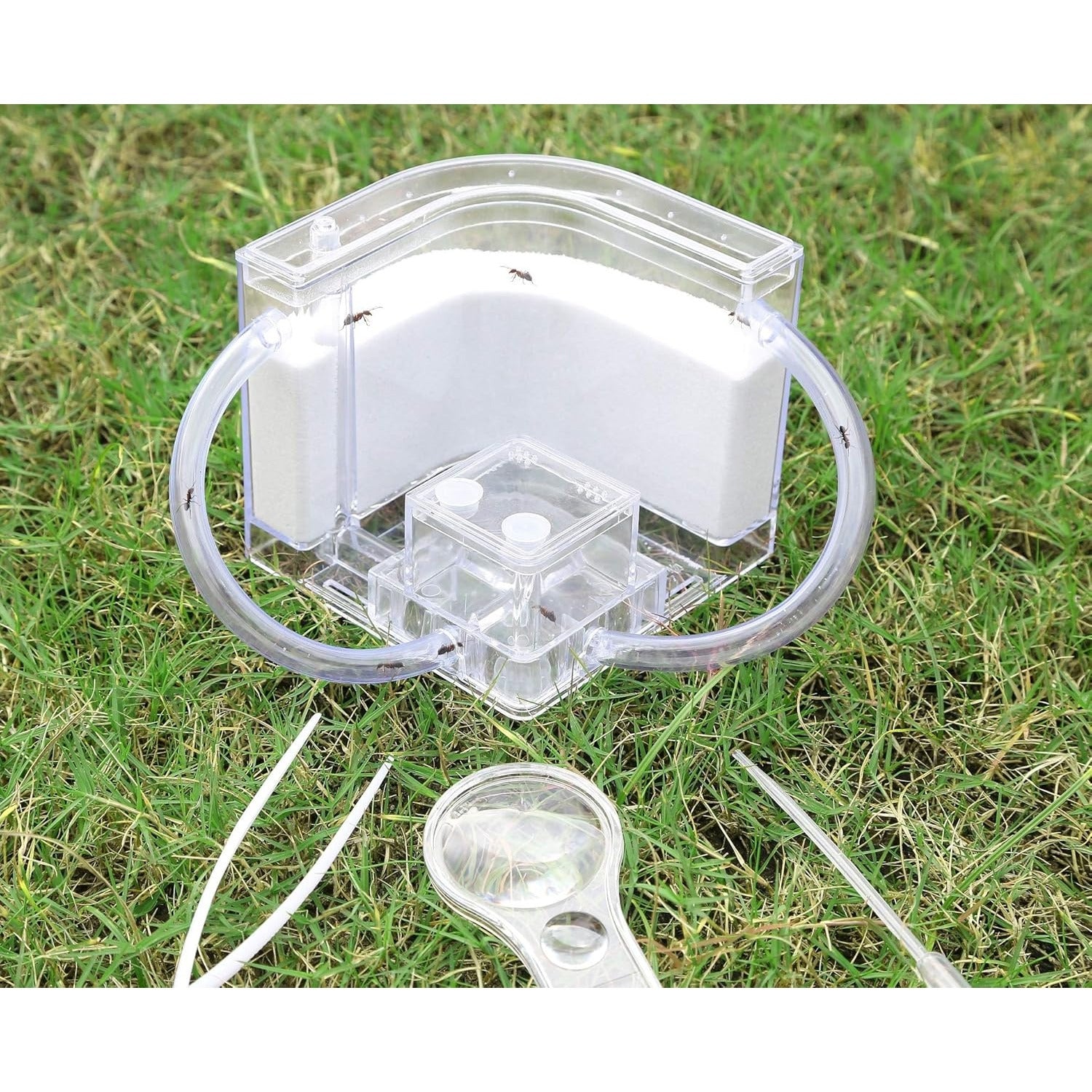 Educational Ant Farm Kit with PVC Habitat