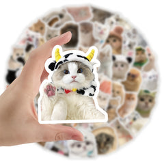 60pcs Cat Sticker Pack Waterproof Vinyl Stickers Mixed Colors