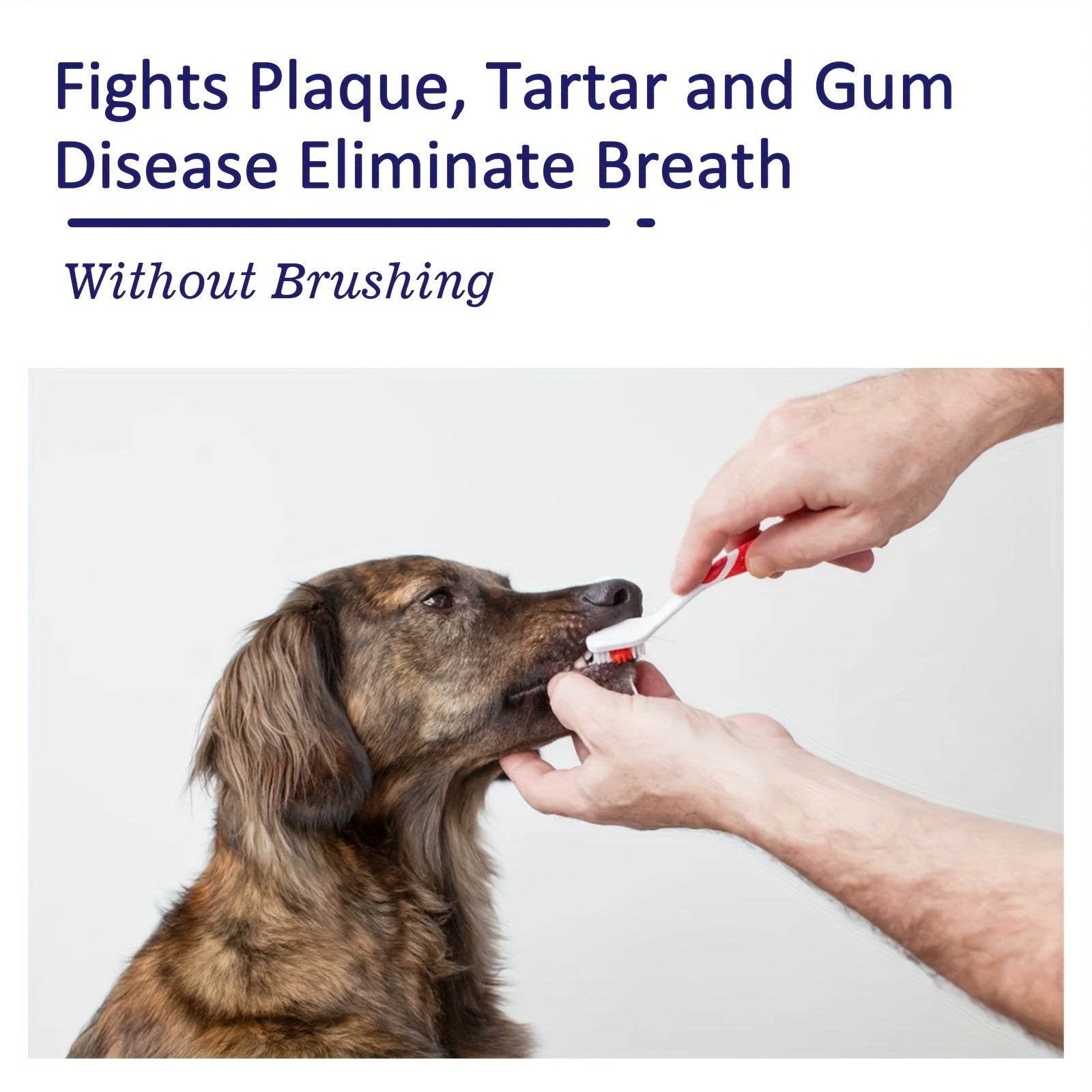 Pet Toothbrush 50g Dog Teeth Cleaning Toothpaste Plaque Tartar Control