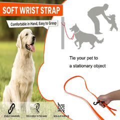 img_4676151