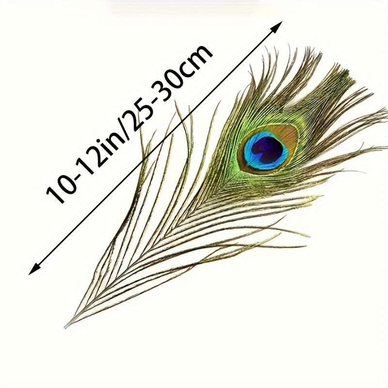 15pcs Peacock Eye Feathers 25-30-48 Cm Holiday Party Table Decorations
