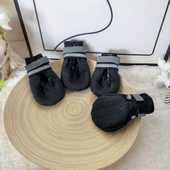 img_4674911