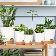 GARDIFE 5pcs Self Watering Planters Plastic Flower Pots - Various Sizes