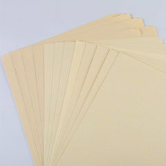 12pcs File Organizer Folders Assorted Positions Letter Size Office Supplies
