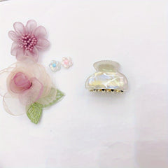 Mini Colorful Hair Claw for Women