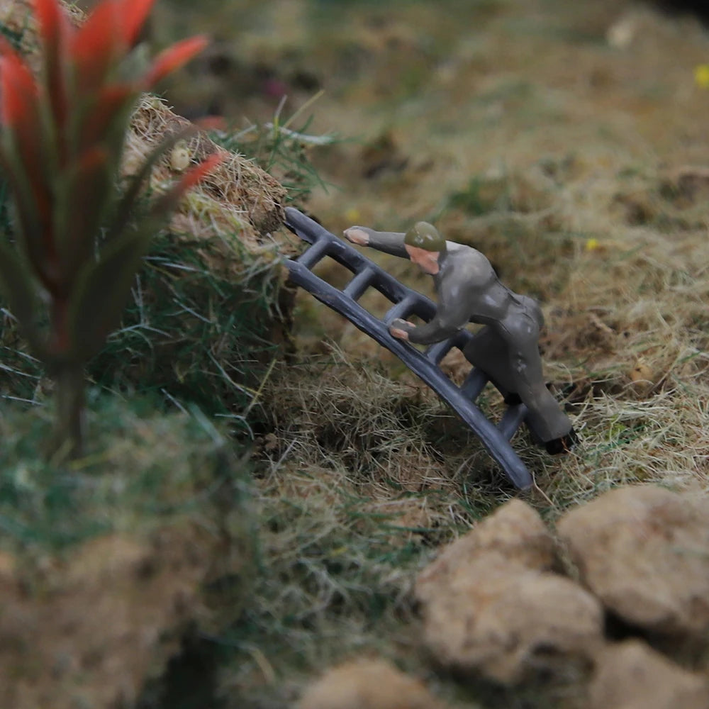 img_2882966
