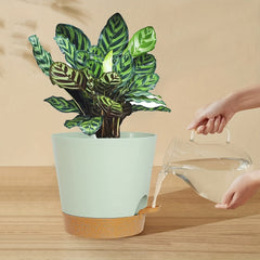 Green Self-Watering Plant Pots Plastic Planters Deep Reservoir