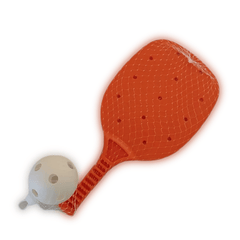 Pickleball Set for Indoor & Outdoor Training