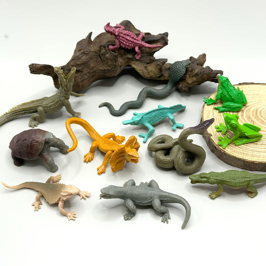 Educational Reptile & Amphibian Figurines PVC Animal Models 12pc Set
