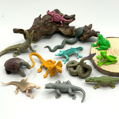 Educational Reptile & Amphibian Figurines PVC Animal Models 12pc Set