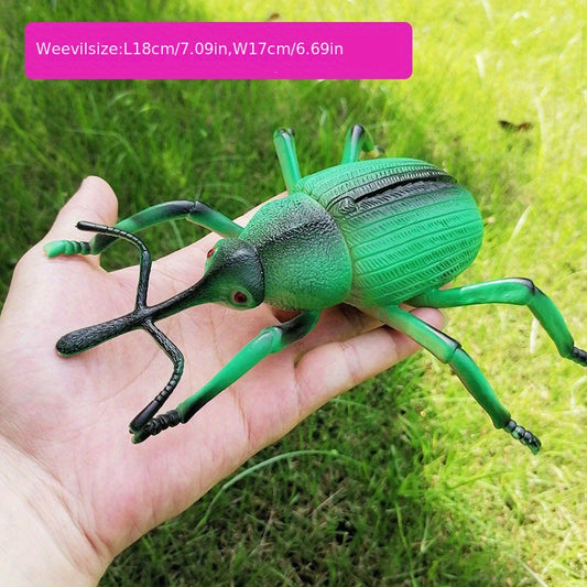 Insect Model Toy for Early Education