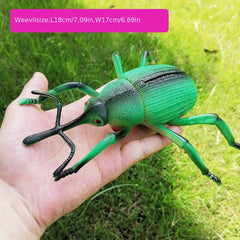 Insect Model Toy for Early Education