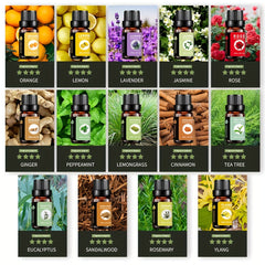 Organic Essential Oils Gift Set - 10 Pack Aromatherapy Kit
