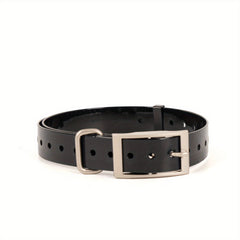 Waterproof TPU Pet Dog Collar Zinc Alloy Buckle