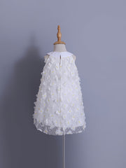 Toddler Girls' Birthday Dress Butterfly Appliques Sleeveless Mesh Princess Dress