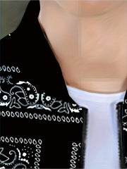 Men's Casual Paisley Pattern Soft shell Jacket Baseball Collar Varsity Jacket
