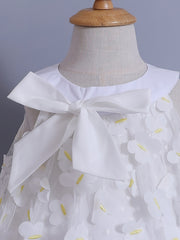 Toddler Girls' Birthday Dress Butterfly Appliques Sleeveless Mesh Princess Dress