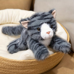 Cute Kitten Plush Toy for Kids 0-3 Years Home Decor Cat Doll