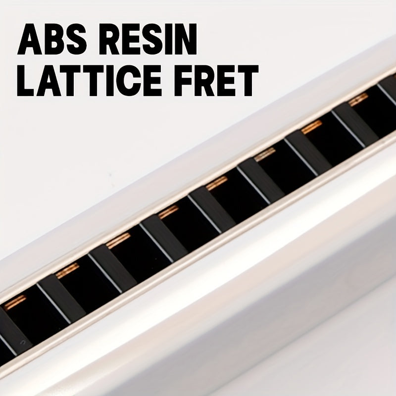 10 Hole C Key Blues Harp Ideal for Beginners