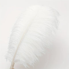 Ostrich Feather Hair Accessories for Party