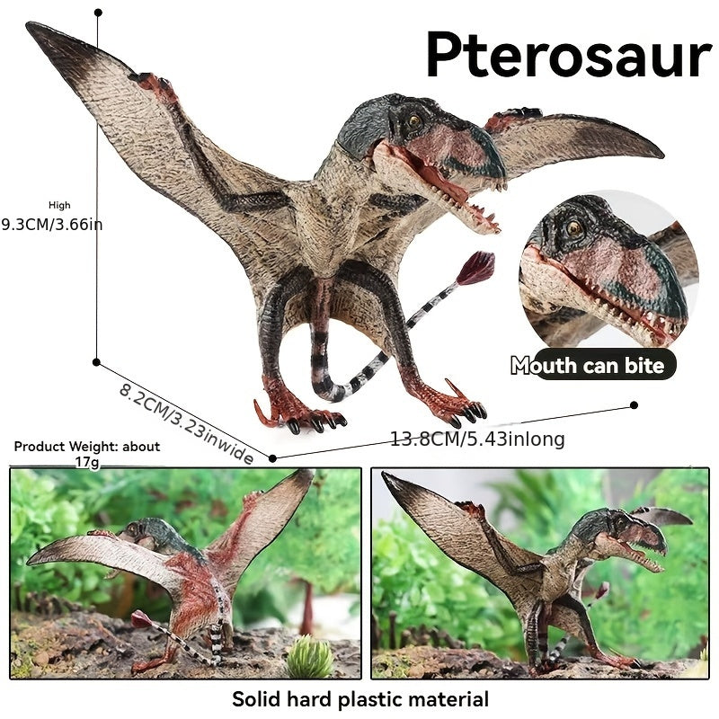 Durable Pterosaur Dinosaur Toy Model Educational Collectible Gift