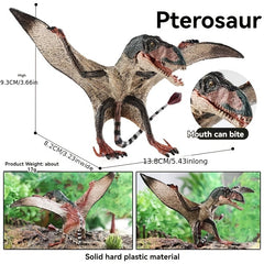 Durable Pterosaur Dinosaur Toy Model Educational Collectible Gift