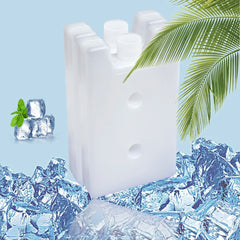 2PCS Portable Cooler Box Lunch Bag Picnic Fruit Freezer Stay Fresh Ice Blocks