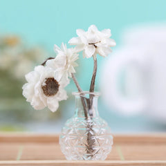 img_2980001