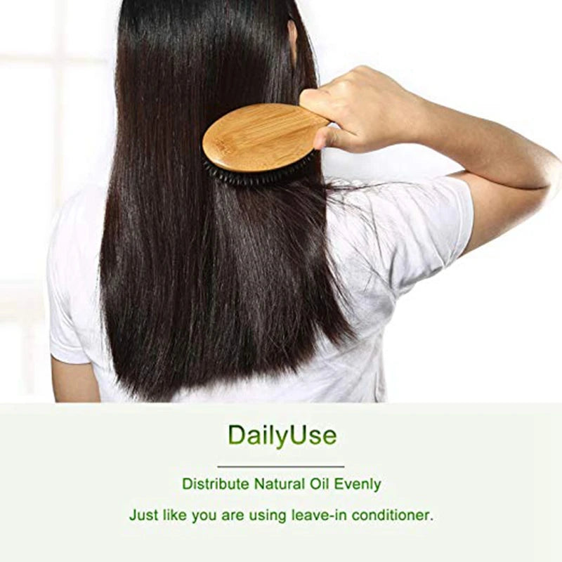 img_503167
