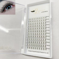 0.07mm Volume Premade Fans Lashes Extension False Eyelashes