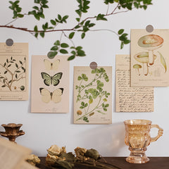 30pcs Bio Postcards Botanical Wall Stickers Room Decoration Cards 9 14