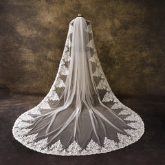 Vintage Lace Bridal Veil with Hair Comb