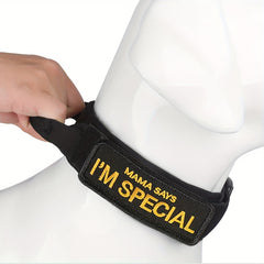 img_4675925