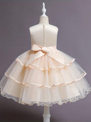 Princess Dress For Christmas Birthday & Evening Parties Sleeveless Flower Embroi