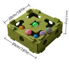img_5381986